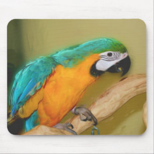 Tapis De Souris Animal bleu Mousepad de peinture de perroquet