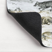Tapis De Souris Animaux carnivores (Coin)