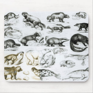Tapis De Souris Animaux carnivores