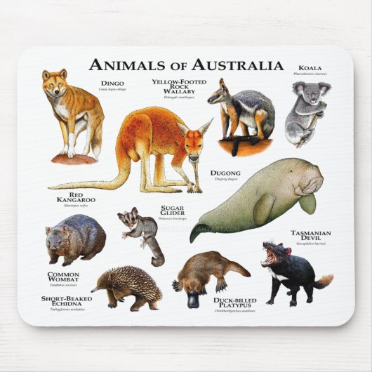 Tapis De Souris Animaux d'Australie (Devant)