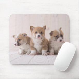 Tapis De Souris Animaux de bébés cutest 3 Baby Corgis