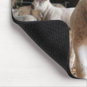 Tapis De Souris Animaux de bébés cutest | Agneau mignon dans une f (Coin)