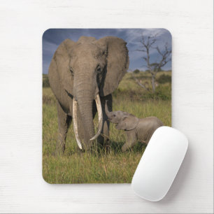 Tapis De Souris Animaux de bébés cutest Amama Elephant Avec Bébé