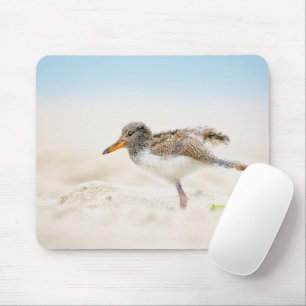 Tapis De Souris Animaux de bébés cutest   American Oystercatcher C