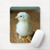 Tapis De Souris Animaux de bébés cutest | Baby Chick (Avec souris)