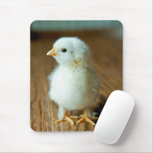 Tapis De Souris Animaux de bébés cutest Baby Chick