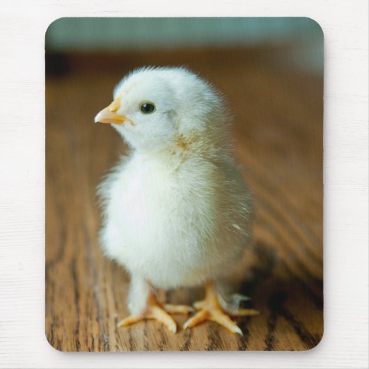 Tapis De Souris Animaux de bébés cutest | Baby Chick (Devant)
