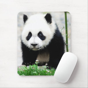 Tapis De Souris Animaux de bébés cutest Baby Panda Bear
