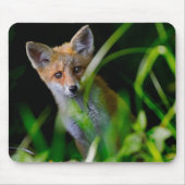 Tapis De Souris Animaux de bébés cutest | Baby Red Fox (Devant)