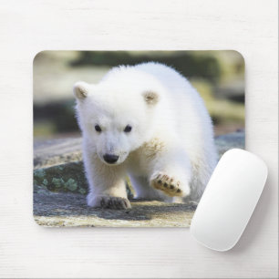 Tapis De Souris Animaux de bébés cutest Bébé Ours polaire