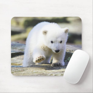 Tapis De Souris Animaux de bébés cutest Bébé Ours Polaire Cub