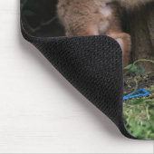 Tapis De Souris Animaux de bébés cutest | Bébé Renards Jouer (Coin)