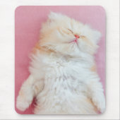 Tapis De Souris Animaux de bébés cutest | Belle Chaton Dormir (Devant)