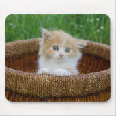 Tapis De Souris Animaux de bébés cutest | Blue Eyed Kitten (Devant)