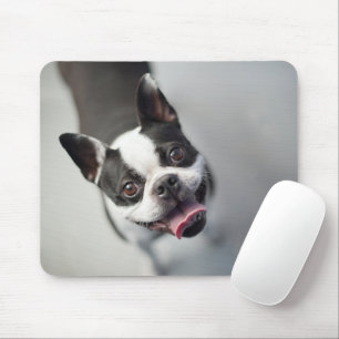 Tapis De Souris Animaux de bébés cutest Boston Bulldog Smile