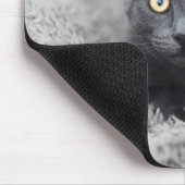Tapis De Souris Animaux de bébés cutest | Chat gris (Coin)
