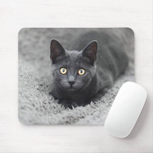 Tapis De Souris Animaux de bébés cutest | Chat gris (Avec souris)