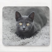 Tapis De Souris Animaux de bébés cutest | Chat gris (Devant)