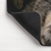 Tapis De Souris Animaux de bébés cutest | Chat Tabby Dormant (Coin)