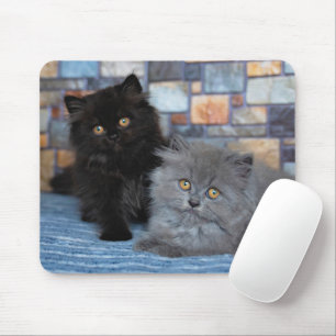 Tapis De Souris Animaux de bébés cutest Chatons persans sur couv