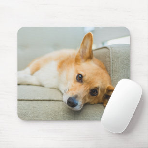 Tapis De Souris Animaux de bébés cutest   Chiot de Corgi sur canap