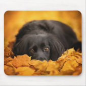 Tapis De Souris Animaux de bébés cutest | Chiot noir espagnol (Devant)