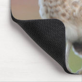 Tapis De Souris Animaux de bébés cutest | Chouette à tête bractée (Coin)
