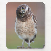 Tapis De Souris Animaux de bébés cutest | Chouette à tête bractée (Devant)