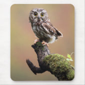 Tapis De Souris Animaux de bébés cutest | Chouette blanche de la s (Devant)