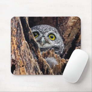 Tapis De Souris Animaux de bébés cutest Chouette tachetée