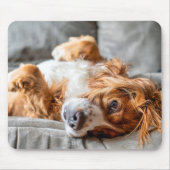 Tapis De Souris Animaux de bébés cutest | Cocker Spaniel (Devant)