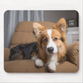 Tapis De Souris Animaux de bébés cutest | Coiffeuse à cheveux long (Devant)