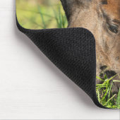 Tapis De Souris Animaux de bébés cutest | Colt à cheval (Coin)