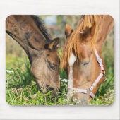 Tapis De Souris Animaux de bébés cutest | Colt à cheval (Devant)
