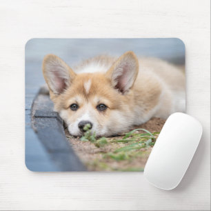 Tapis De Souris Animaux de bébés cutest Corgi Laying in the Yard