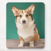Tapis De Souris Animaux de bébés cutest | Corgi sur Turquoise (Devant)