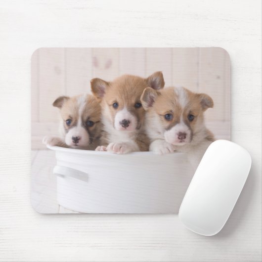 Tapis De Souris Animaux de bébés cutest | Cute Corgi Chipies dans (Avec souris)