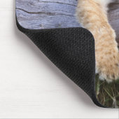 Tapis De Souris Animaux de bébés cutest | Cute Lion Cub (Coin)