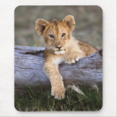 Tapis De Souris Animaux de bébés cutest | Cute Lion Cub (Devant)