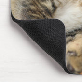 Tapis De Souris Animaux de bébés cutest | Cute Tabby Chat Dormir (Coin)