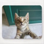 Tapis De Souris Animaux de bébés cutest | Cute Tabby Kitten (Devant)