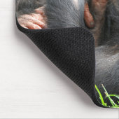 Tapis De Souris Animaux de bébés cutest | Deux jeunes chimpanzés (Coin)