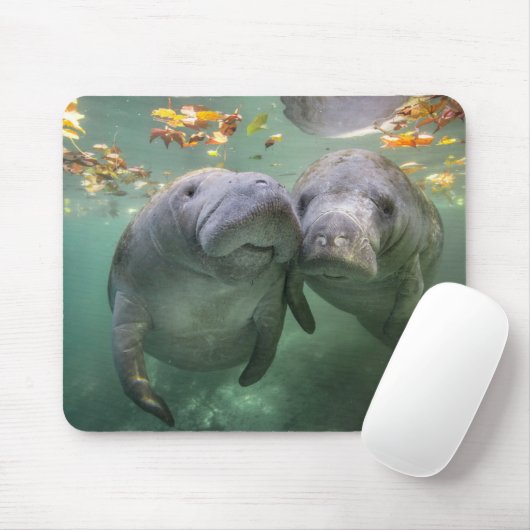 Tapis De Souris Animaux de bébés cutest | Deux Manatees (Avec souris)