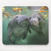 Tapis De Souris Animaux de bébés cutest | Deux Manatees (Devant)