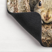 Tapis De Souris Animaux de bébés cutest | Écureuils curieux (Coin)