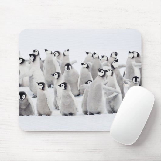 Tapis De Souris Animaux de bébés cutest | Empereur Penguin Chicks (Avec souris)