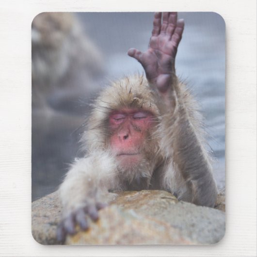 Tapis De Souris Animaux de bébés cutest | Face de singe de neige (Devant)