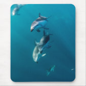 Tapis De Souris Animaux de bébés cutest | Famille de dauphins (Devant)
