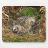 Tapis De Souris Animaux de bébés cutest | Famille Hérisson (Devant)