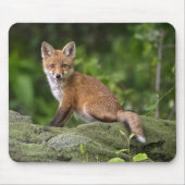 Tapis De Souris Animaux de bébés cutest | Foxy Smile (Devant)